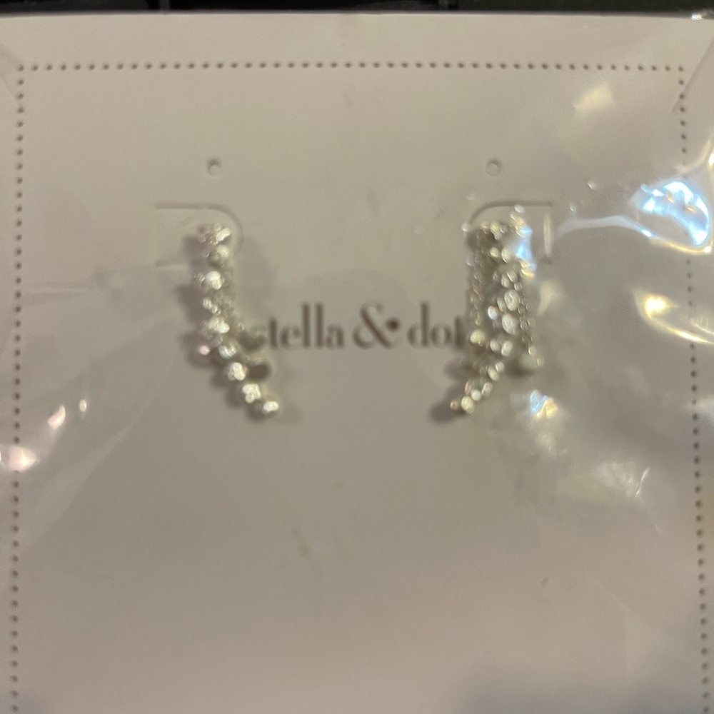 Stella & Dot earrings